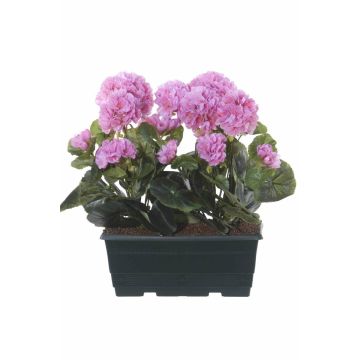 Gerani artificiali FLOREANA in fioriera, 2 pezzi, viola, 24x11x35 cm Gerani artificiali FLOREANA in fioriera, 2 pezzi, viola, 24x11x35 cm