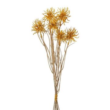 Mazzo decorativo di cardo sferico DRAVLE, dorato, 45 cm