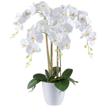 Fiore decorativo orchidea Phalaenopsis BLENTOR in vaso di melamina, radici, bianco, 60 cm