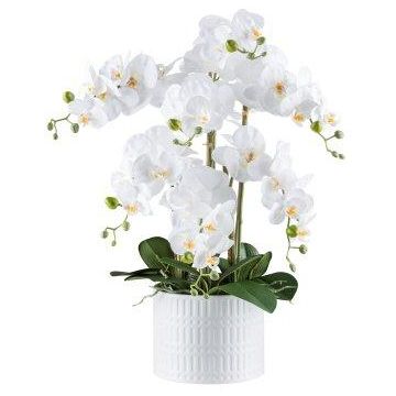 Fiore decorativo orchidea Phalaenopsis TOUNI, vaso in ceramica, radici, bianco, 60cm
