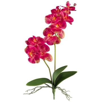 Fiore decorativo orchidea Phalaenopsis KRUZBER, bastoncino, radici, rosa, 55 cm