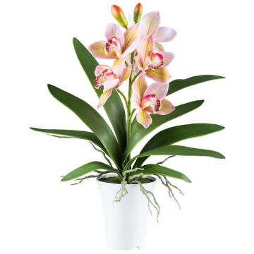 Orchidea Cymbidium BLORKE in tessuto con vaso in melamina, radici, verde-rosa, 55cm Orchidea Cymbidium BLORKE in tessuto con vaso in melamina, radici, verde-rosa, 55cm