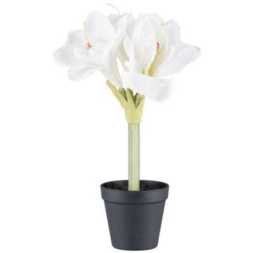 Fiore decorativo Amaryllis PRIFT in vaso decorativo, bianco, 30 cm Fiore decorativo Amaryllis PRIFT in vaso decorativo, bianco, 30 cm