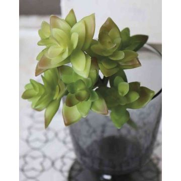 Echeveria gibbiflora artificiale TROY, stelo, verde-rosso, 17cm