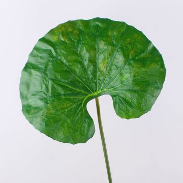 Foglia di ninfea finta ZEREENA, verde, 70cm Foglia di ninfea finta ZEREENA, verde, 70cm