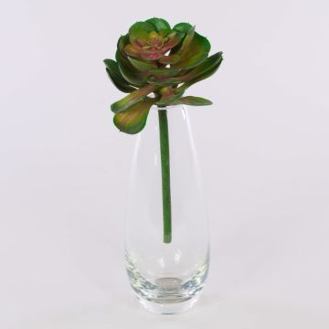 Echeveria gibbiflora artificiale ERNESTO, stelo, verde-rosa, 23cm, Ø13cm