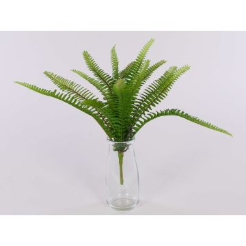 Felce reale di plastica GYPSY su stelo, verde, 30cm, Ø30cm