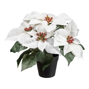 Fiore artificiale Stella di Natale FRIZO in vaso decorativo, bianco, 26cm Fiore artificiale Stella di Natale FRIZO in vaso decorativo, bianco, 26cm