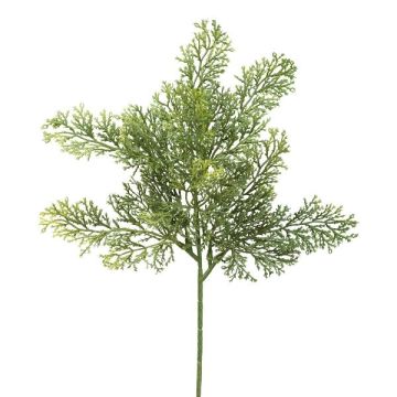 Ramo decorativo di cipresso PLIRKO, verde, 40cm Ramo decorativo di cipresso PLIRKO, verde, 40cm