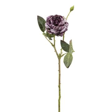 Fiore artificiale rosa cavolo VOMTE, effetto secco, viola, 45 cm Fiore artificiale rosa cavolo VOMTE, effetto secco, viola, 45 cm