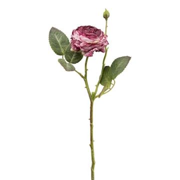 Fiore artificiale rosa cavolo VOMTE, effetto secco, malva, 45 cm