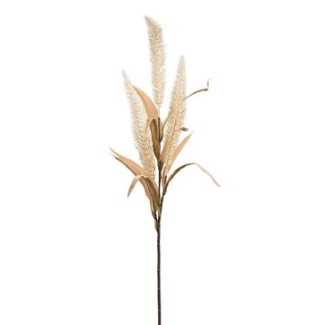 Ramo decorativo miscanto KENFIR con pannocchie, crema, 70 cm