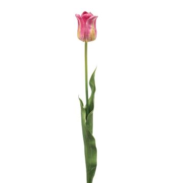 Tulipano artificiale SIDRA, rosa-verde, 65 cm