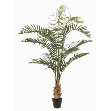 Palma dai frutti dorati artificiale VOWRAN in vaso decorativo, crossdoor, verde, 120 cm