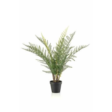 Pianta artificiale felce LOWTAN in vaso decorativo, crossdoor, verde, 65 cm