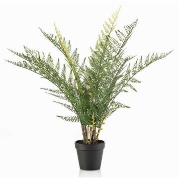 Pianta artificiale felce LOWTAN in vaso decorativo, crossdoor, verde, 65 cm Pianta artificiale felce LOWTAN in vaso decorativo, crossdoor, verde, 65 cm