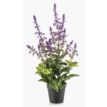 Pianta artificiale salvia SWORTA in vaso decorativo, fiori, lavanda, 45 cm Pianta artificiale salvia SWORTA in vaso decorativo, fiori, lavanda, 45 cm