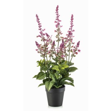Pianta artificiale salvia SWORTA in vaso decorativo, fiori, malva, 45 cm Pianta artificiale salvia SWORTA in vaso decorativo, fiori, malva, 45 cm