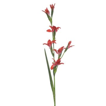 Fiore artificiale gladiolo GROWEL, corallo, 105 cm