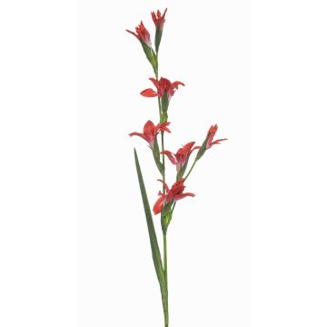 Fiore artificiale gladiolo GROWEL, corallo, 105 cm Fiore artificiale gladiolo GROWEL, corallo, 105 cm
