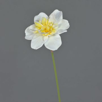 Fiore artificiale narciso SKROP, bianco-giallo, 40 cm