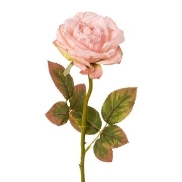Fiore artificiale rosa DRINT, rosa, 55 cm Fiore artificiale rosa DRINT, rosa, 55 cm