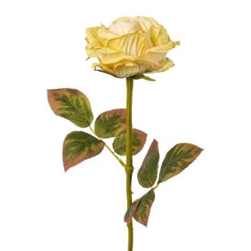 Fiore artificiale rosa DRINT, verde-crema, 60cm, Ø10,5cm Fiore artificiale rosa DRINT, verde-crema, 60cm, Ø10,5cm