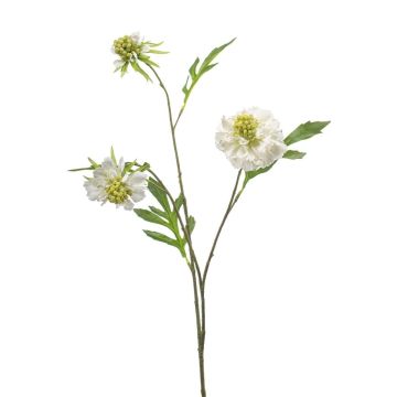 Ramo artificiale Scabiosa RUXTER, bianco, 60 cm Ramo artificiale Scabiosa RUXTER, bianco, 60 cm