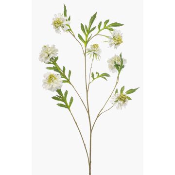 Ramo artificiale Scabiosa RUXTER, bianco, 115 cm Ramo artificiale Scabiosa RUXTER, bianco, 115 cm
