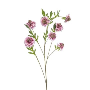 Ramo artificiale Scabiosa RUXTER, rosa chiaro, 115 cm Ramo artificiale Scabiosa RUXTER, rosa chiaro, 115 cm
