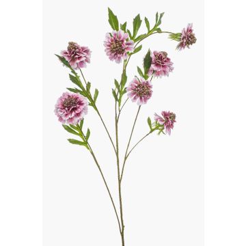 Ramo artificiale Scabiosa RUXTER, rosa chiaro, 115 cm Ramo artificiale Scabiosa RUXTER, rosa chiaro, 115 cm