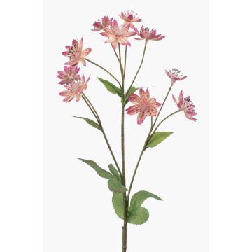 Ramo decorativo di astragalo JAXRON, rosa, 70 cm