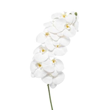 Ramo di orchidea Phalaenopsis artificiale XURI, bianco, 100 cm