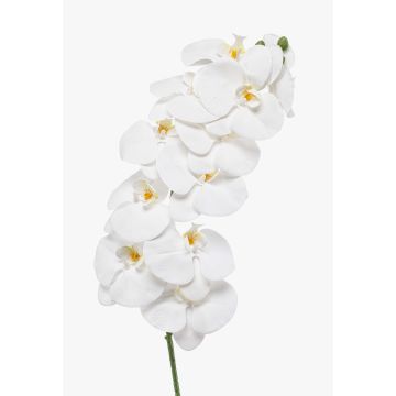 Ramo di orchidea Phalaenopsis artificiale XURI, bianco, 100 cm