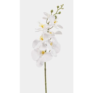Ramo di orchidea Phalaenopsis artificiale AXELOR, bianco, 85 cm