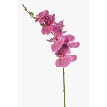 Ramo di orchidea Phalaenopsis artificiale AXELOR, rosa, 85 cm