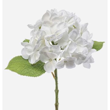 Ortensia artificiale EXORIN, bianca, 45 cm