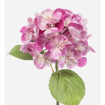 Ortensia artificiale EXORIN, rosa, 45 cm