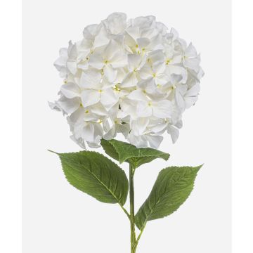 Ortensia artificiale BRITTANY, bianca, 90 cm