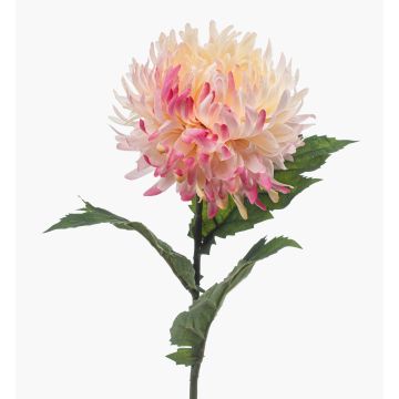 Crisantemo artificiale SAXLER, rosa chiaro, 55 cm