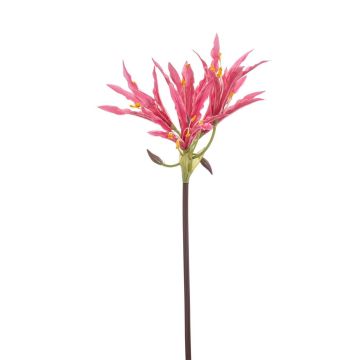 Amaryllis da giardino artificiale XAVLER, rosa, 80 cm