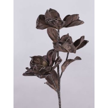 Ramo decorativo di camelia RANIA, marrone, 95cm, Ø18-22cm Ramo decorativo di camelia RANIA, marrone, 95cm, Ø18-22cm