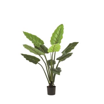 Pianta artificiale Calathea Rufibarba NUSAKAN, verde, 120 cm