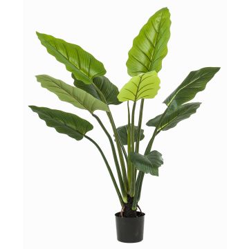 Pianta artificiale Calathea Rufibarba NUSAKAN, verde, 120 cm