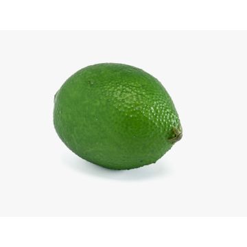 Frutta artificiale Lime NANGA, verde, 6 cm