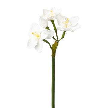 Fiore artificiale narciso VLAMOR, bianco, 40 cm