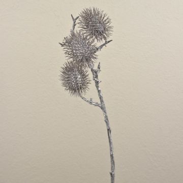 Ramo di frutta rambutan artificiale WARDA, marrone-bianco, 60cm