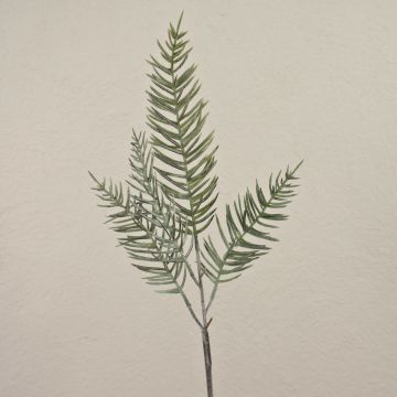 Ramo di cipresso artificiale ZOLTAN, verde, 75cm
