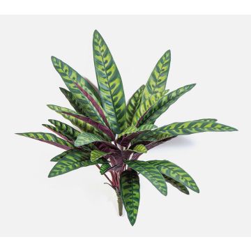 Pianta artificiale Calathea Makoyana MANAMI su bastoncino, verde-rossa, 40 cm