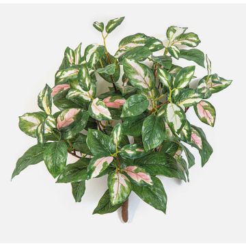Pianta artificiale Hoya carnosa OLEANA su bastoncino, verde-bianca-rosa, 40 cm